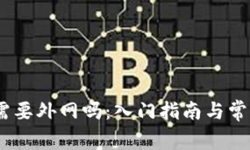 Tokenim 需要外网吗：入门指南与常见问题解析