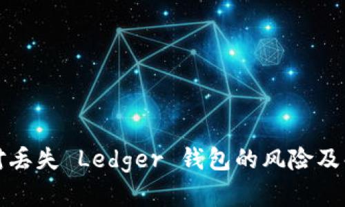 如何应对丢失 Ledger 钱包的风险及解决方案