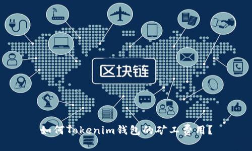 如何Tokenim钱包的矿工费用？