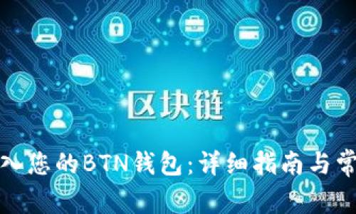 如何成功导入您的BTN钱包：详细指南与常见问题解答