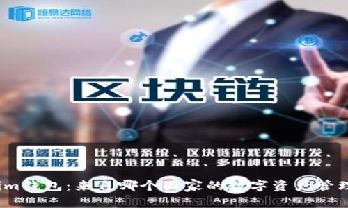 Tokenim钱包：来自哪个国家的数字资产管理革新？