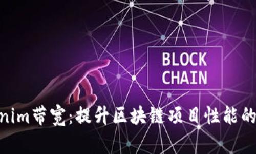 Tokenim带宽：提升区块链项目性能的关键