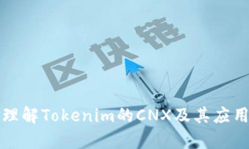 深入理解Tokenim的CNX及其应用前景