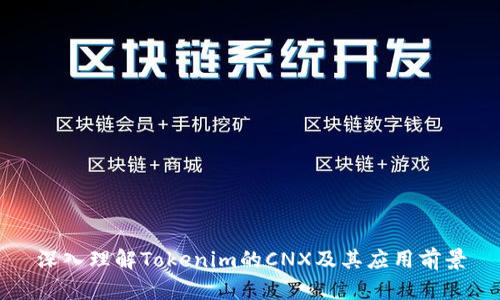 深入理解Tokenim的CNX及其应用前景