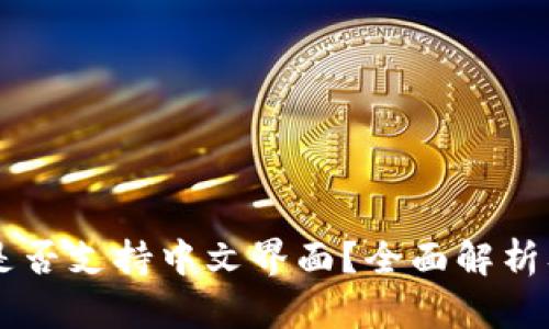 币子钱包是否支持中文界面？全面解析及使用指南