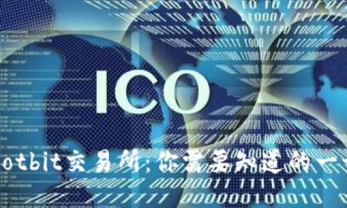 Hotbit交易所：你需要知道的一切