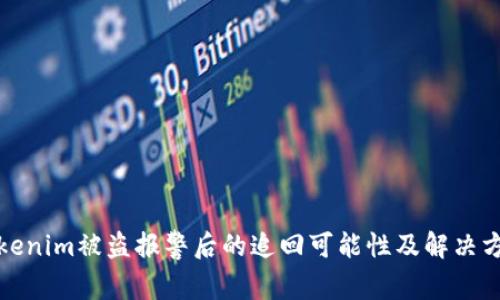 Tokenim被盗报警后的追回可能性及解决方案