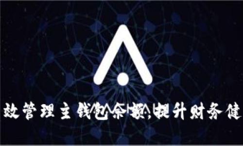 如何高效管理主钱包余额，提升财务健康状况