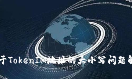 关于TokenIM地址的大小写问题解析