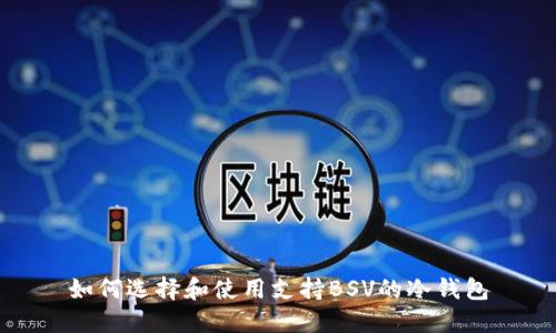 如何选择和使用支持BSV的冷钱包