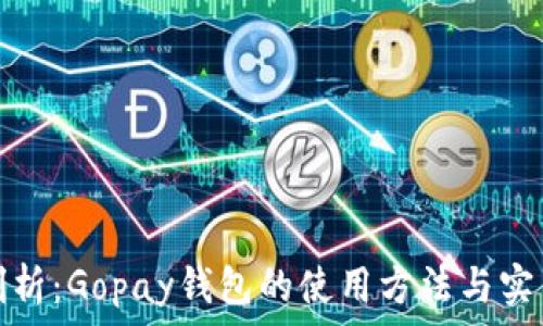   
深入剖析：Gopay钱包的使用方法与实用技巧
