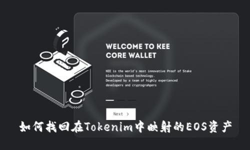 如何找回在Tokenim中映射的EOS资产