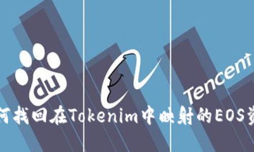 如何找回在Tokenim中映射的EOS资产