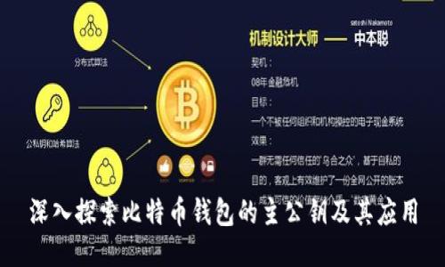 深入探索比特币钱包的主公钥及其应用
