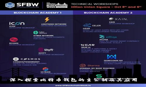 深入探索比特币钱包的主公钥及其应用