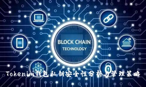 Tokenim钱包私钥安全性分析与管理策略