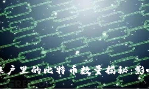 中本聪账户里的比特币数量揭秘：影响与意义
