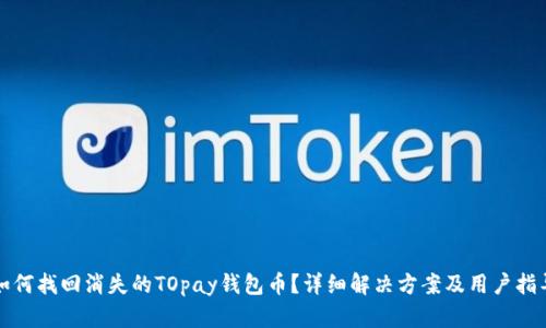 如何找回消失的TOpay钱包币？详细解决方案及用户指导