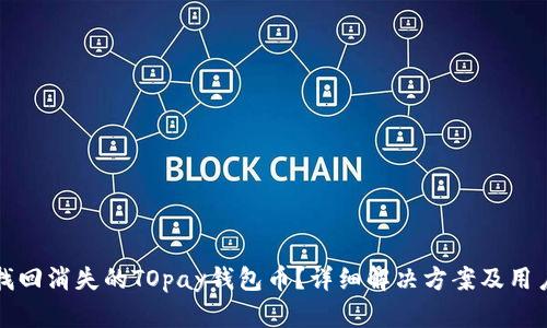 如何找回消失的TOpay钱包币？详细解决方案及用户指导