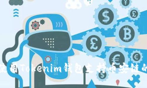 如何使用Tokenim钱包支持币安链的指南