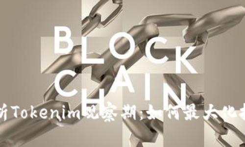 深入解析Tokenim观察期：如何最大化投资收益