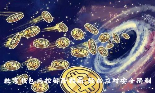 数字钱包风控解除指南：轻松应对安全限制