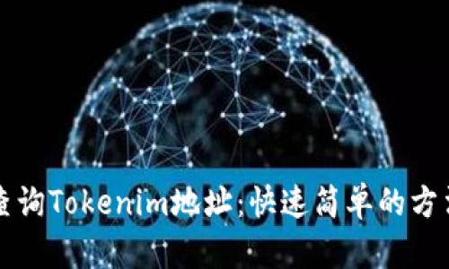 如何查询Tokenim地址：快速简单的方法指南