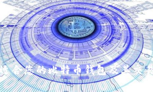 如何选择适合您的比特币钱包及其交易费用详解