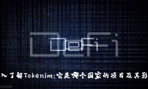 深入了解Tokenim：它是哪个国家的项目及其影响