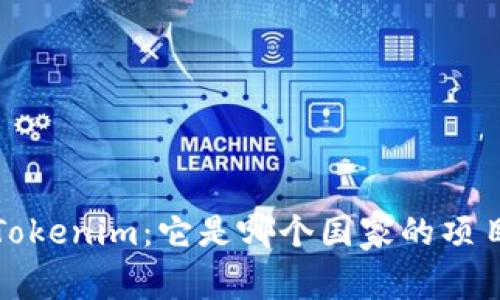 深入了解Tokenim：它是哪个国家的项目及其影响