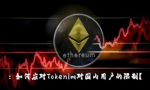 : 如何应对Tokenim对国内用户的限制？
