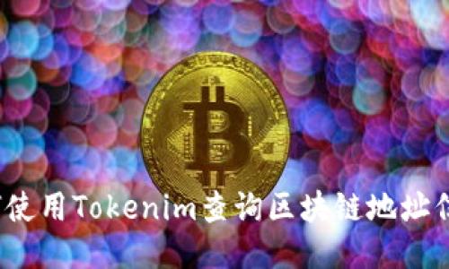 如何使用Tokenim查询区块链地址信息？