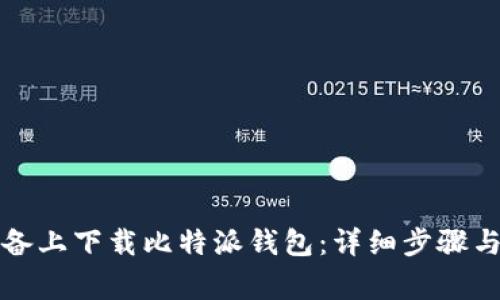 如何在苹果设备上下载比特派钱包：详细步骤与常见问题解答