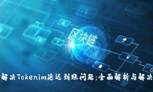 如何解决Tokenim延迟到账问题：全面解析与解决方案