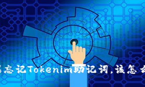 如果忘记Tokenim助记词，该怎么办？