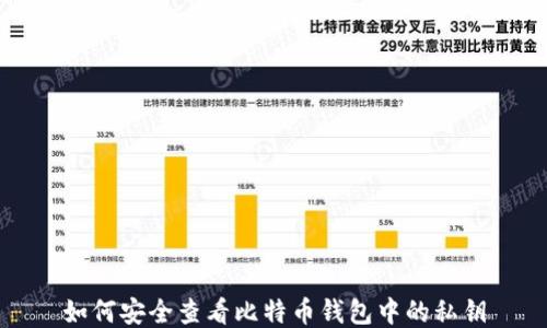 
如何安全查看比特币钱包中的私钥