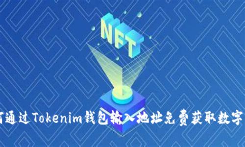 如何通过Tokenim钱包输入地址免费获取数字货币