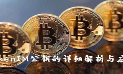 TokenIM公钥的详细解析与应用