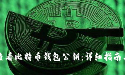 如何安全查看比特币钱包公钥：详细指南与注意事项