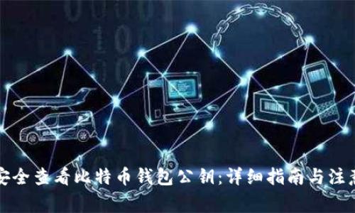 如何安全查看比特币钱包公钥：详细指南与注意事项