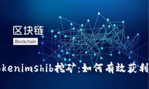 全面解析Tokenimshib挖矿：如何有效获利与风险管理