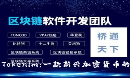 深入了解Tokenim：一款新兴加密货币的全面解析