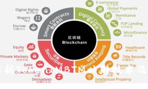 深入解析TokenIMBTM映射技术及其应用