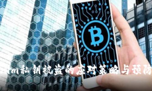 Tokenim私钥被盗的应对策略与预防措施