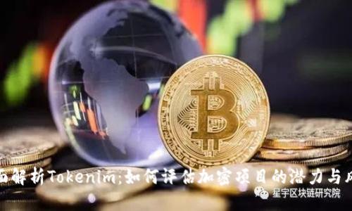 全面解析Tokenim：如何评估加密项目的潜力与风险