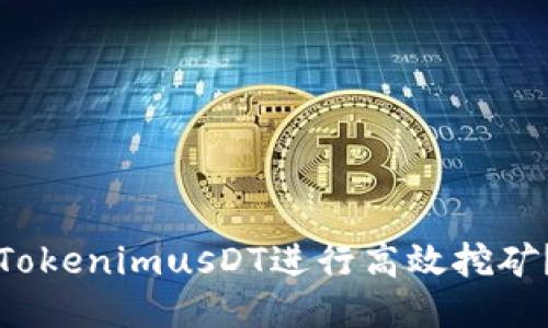 如何利用TokenimusDT进行高效挖矿？全面指南