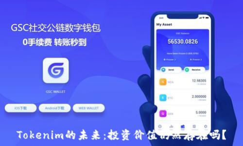   
Tokenim的未来：投资价值仍然存在吗？
