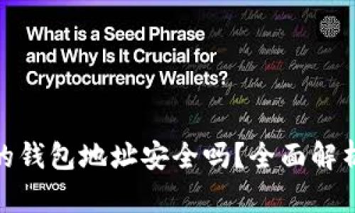 用Tokenim创建的钱包地址安全吗？全面解析加密钱包安全性