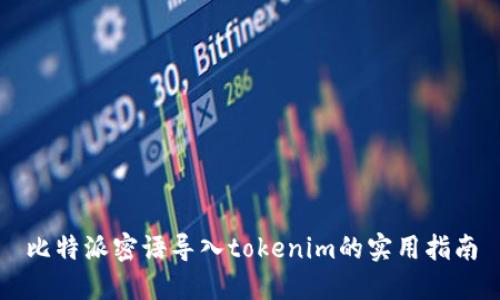 比特派密语导入tokenim的实用指南