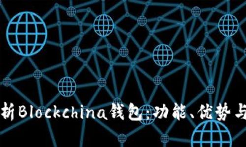 全方位解析Blockchina钱包：功能、优势与使用指南